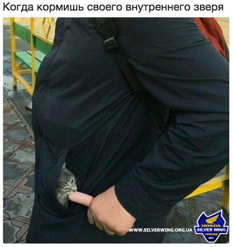 upload_2017-11-4_20-24-37.png